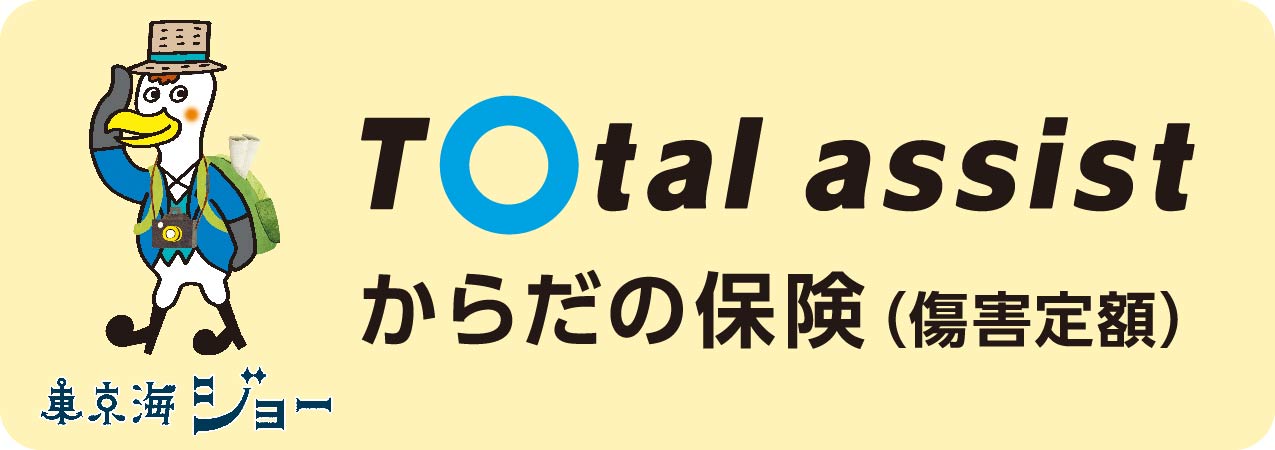からだの保険（傷害定額）